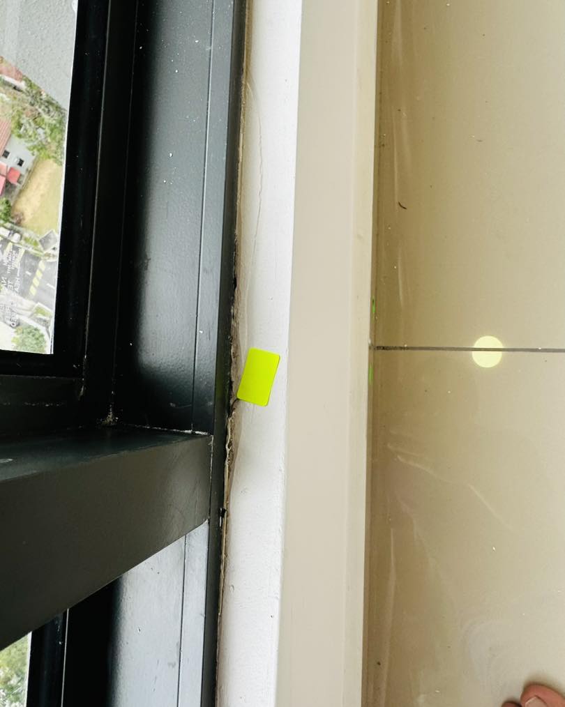 481164726_722111637480344_6348636544112622072_n